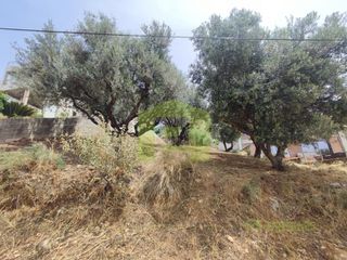 Οικόπεδο 535 τ.μ. για πώληση, Αχαΐα, Μεσσατίδα-thumb-1