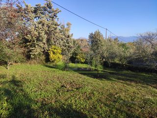 Οικόπεδο 1.000 τ.μ. πρός πώληση, Αχαΐα, Παραλία-thumb-17