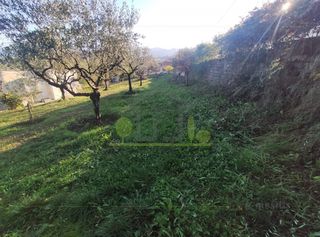 Οικόπεδο 1.000 τ.μ. πρός πώληση, Αχαΐα, Παραλία-thumb-10