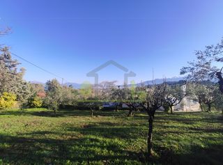 Οικόπεδο 1.000 τ.μ. πρός πώληση, Αχαΐα, Παραλία-thumb-15