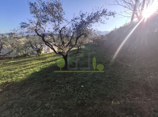Οικόπεδο 1.000 τ.μ. πρός πώληση, Αχαΐα, Παραλία-thumb-14