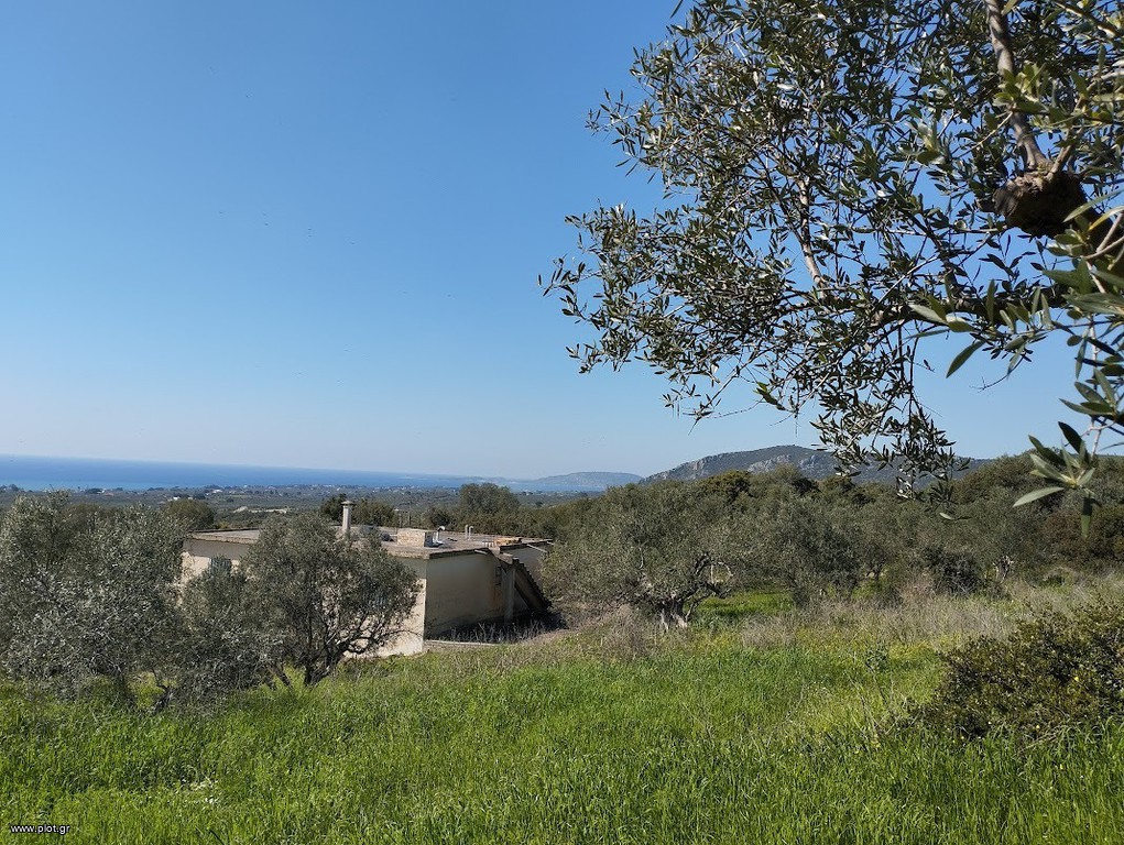 Οικόπεδο 20.000 τ.μ. προς πώληση, Τραγάνα Γαργαλιάνων
