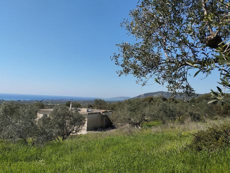 Οικόπεδο 20.000 τ.μ. για πώληση