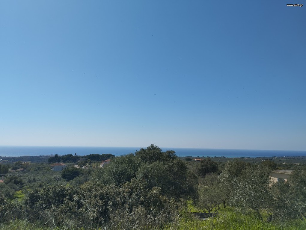 Οικόπεδο 20.000 τ.μ. προς πώληση, Τραγάνα Γαργαλιάνων