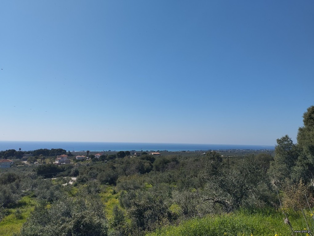 Οικόπεδο 20.000 τ.μ. προς πώληση, Τραγάνα Γαργαλιάνων