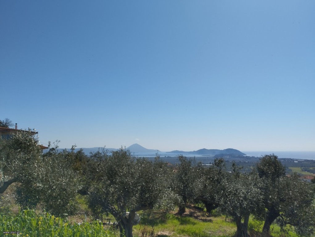 Οικόπεδο 20.000 τ.μ. προς πώληση, Τραγάνα Γαργαλιάνων