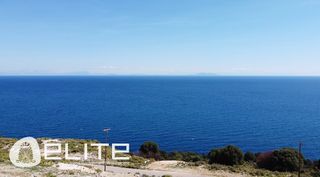 Αγροτεμάχια 4.010 τ.μ. για πώληση