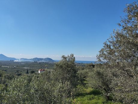 Οικόπεδο 15.243τ.μ. για πώληση-Γαργαλιάνοι » Τραγάνα