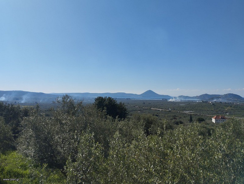 Οικόπεδο 15.243 τ.μ. πρός πώληση, Μεσσηνία, Γαργαλιάνοι