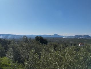 Οικόπεδο 15.243 τ.μ. πρός πώληση, Μεσσηνία, Γαργαλιάνοι-thumb-2