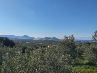 Οικόπεδο 15.243 τ.μ. πρός πώληση, Μεσσηνία, Γαργαλιάνοι-thumb-3