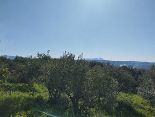 Οικόπεδο 15.243 τ.μ. πρός πώληση, Μεσσηνία, Γαργαλιάνοι-thumb-6