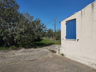 Οικόπεδο 15.243 τ.μ. πρός πώληση, Μεσσηνία, Γαργαλιάνοι-thumb-7