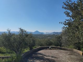 Οικόπεδο 15.243 τ.μ. πρός πώληση, Μεσσηνία, Γαργαλιάνοι-thumb-8