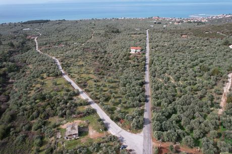 Αγροτεμάχια 11.260 τ.μ. για πώληση