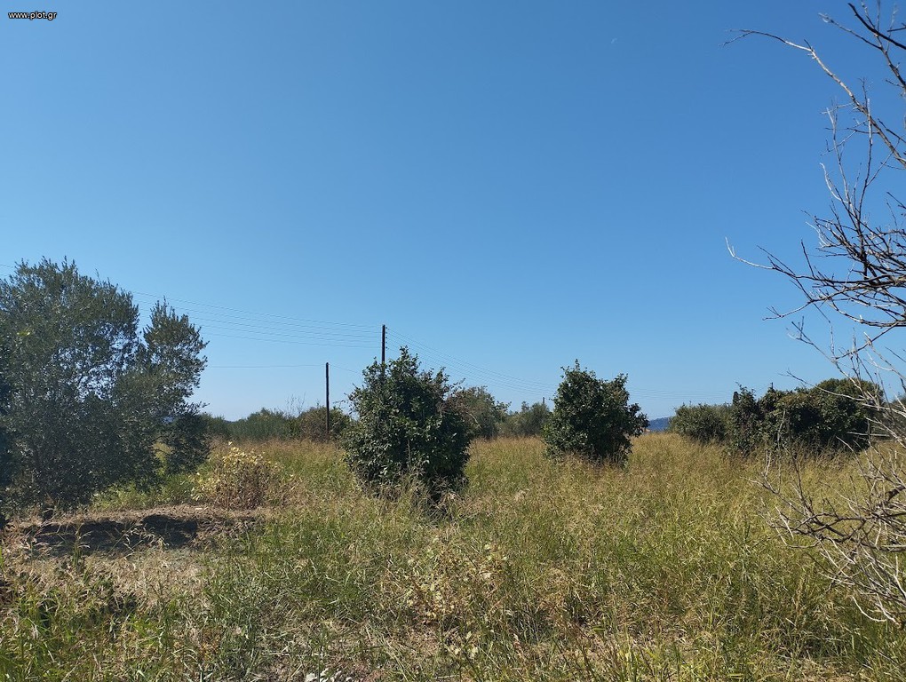 Οικόπεδο 7.500 τ.μ. προς πώληση, Γιάλοβα