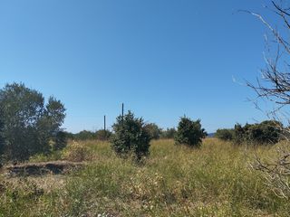 Οικόπεδο 7.500 τ.μ. για πώληση, Μεσσηνία, Πύλος-thumb-1