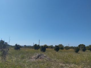 Οικόπεδο 7.500 τ.μ. για πώληση, Μεσσηνία, Πύλος-thumb-3