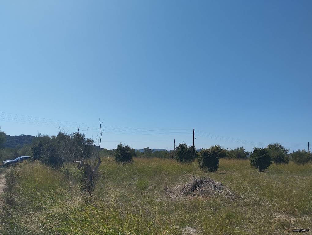 Οικόπεδο 7.500 τ.μ. προς πώληση, Γιάλοβα