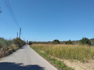 Οικόπεδο 7.500 τ.μ. για πώληση, Μεσσηνία, Πύλος-thumb-8