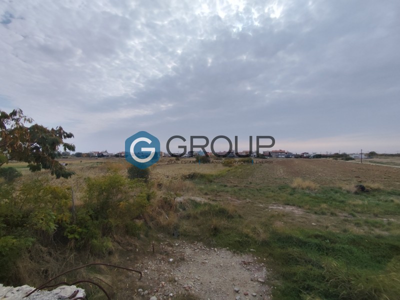 Αγροτεμάχια 11.256 τ.μ. πρός πώληση, Εβρος, Αλεξανδρούπολη
