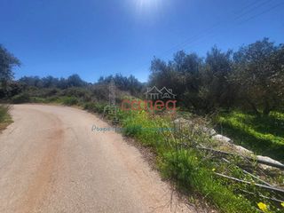 Οικόπεδο 1.339 τ.μ. για πώληση, Ν. Χανίων, Βάμος-thumb-8