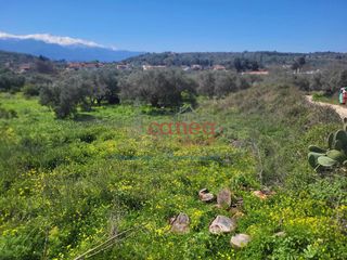 Οικόπεδο 1.339 τ.μ. για πώληση, Ν. Χανίων, Βάμος-thumb-12