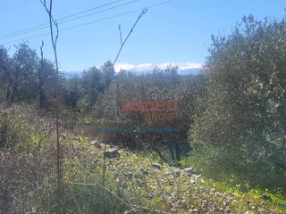 Οικόπεδο 1.339 τ.μ. για πώληση, Ν. Χανίων, Βάμος-thumb-14
