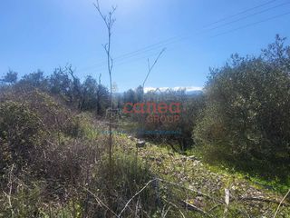 Οικόπεδο 1.339 τ.μ. για πώληση, Ν. Χανίων, Βάμος-thumb-16