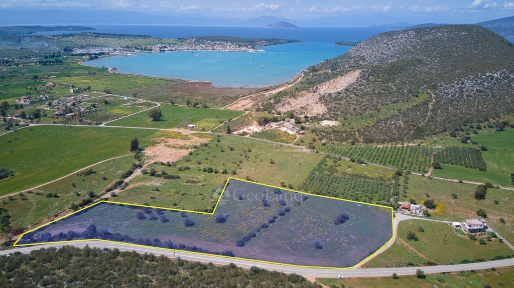 Αγροτεμάχια 27.585 τ.μ. προς πώληση, Αργολίδα, Κρανίδι