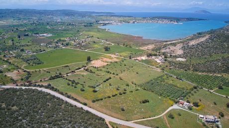 Αγροτεμάχια 27.585τ.μ. για πώληση-Κρανίδι » Βλαχοπουλέικα