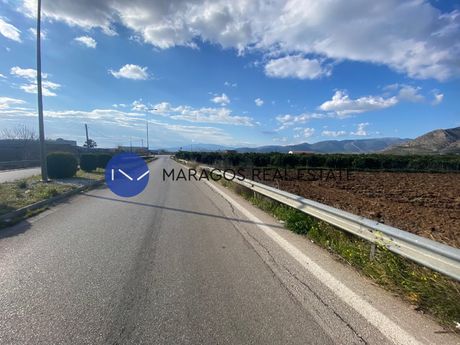 Αγροτεμάχια 3.000 τ.μ. για πώληση