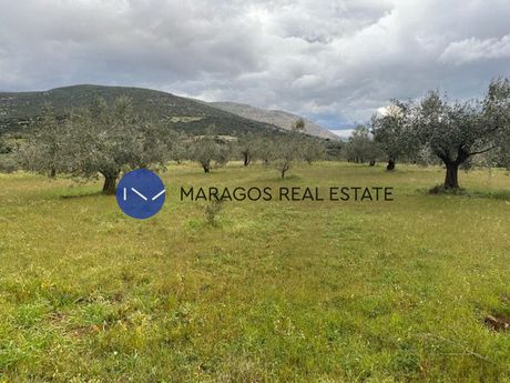 Αγροτεμάχια 9.300 τ.μ. για πώληση