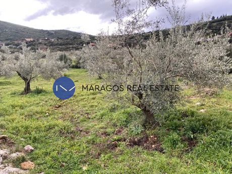 Αγροτεμάχια 2.600 τ.μ. για πώληση