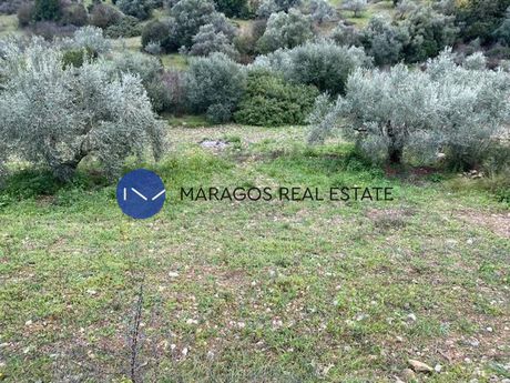Αγροτεμάχια 2.700 τ.μ. για πώληση