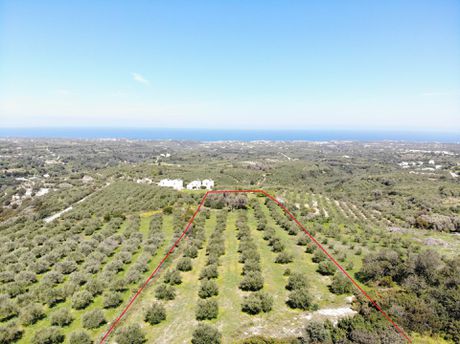Αγροτεμάχια 7.160 τ.μ. για πώληση