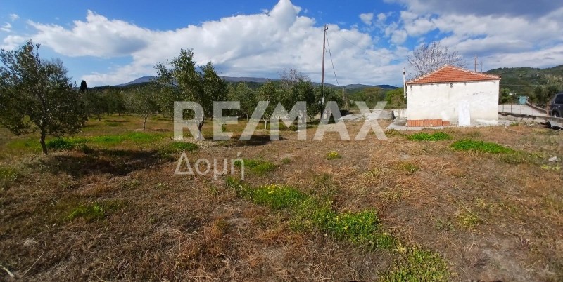 Αγροτεμάχια 3.015 τ.μ. προς πώληση, Κορόπη Μηλεών