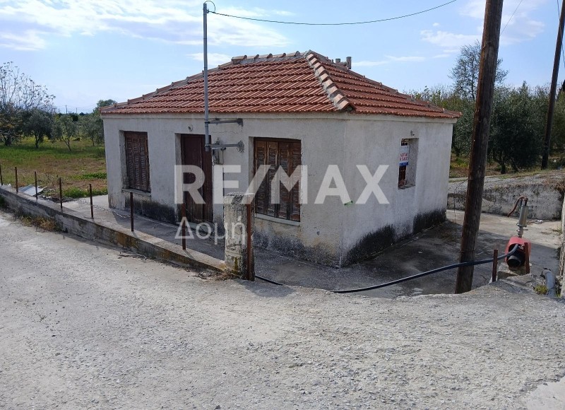 Αγροτεμάχια 3.015 τ.μ. προς πώληση, Κορόπη Μηλεών