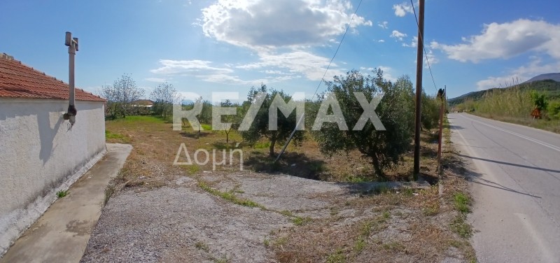 Αγροτεμάχια 3.015 τ.μ. προς πώληση, Κορόπη Μηλεών