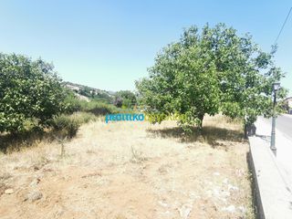 Οικόπεδο 1.697,19 τ.μ. για πώληση, Αρκαδία, Φάλανθος-thumb-13