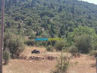 Οικόπεδο 1.697,19 τ.μ. για πώληση, Αρκαδία, Φάλανθος-thumb-8