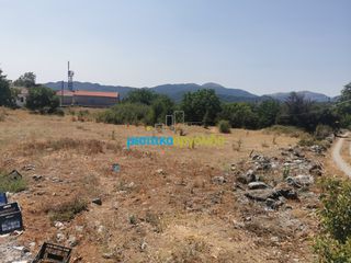 Οικόπεδο 1.697,19 τ.μ. για πώληση, Αρκαδία, Φάλανθος-thumb-1
