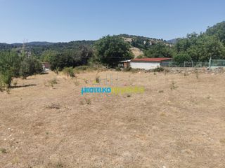 Οικόπεδο 1.697,19 τ.μ. για πώληση, Αρκαδία, Φάλανθος-thumb-16