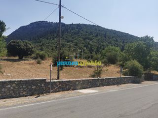 Οικόπεδο 1.697,19 τ.μ. για πώληση, Αρκαδία, Φάλανθος-thumb-7