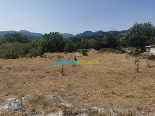 Οικόπεδο 1.697,19 τ.μ. για πώληση, Αρκαδία, Φάλανθος-thumb-6