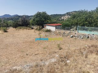 Οικόπεδο 1.697,19 τ.μ. για πώληση, Αρκαδία, Φάλανθος-thumb-5
