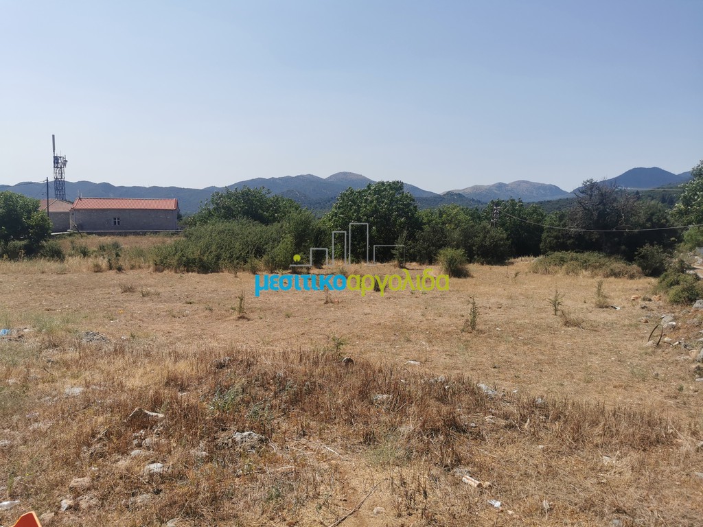 Οικόπεδο 1.697,19 τ.μ. προς πώληση, Δαβιά