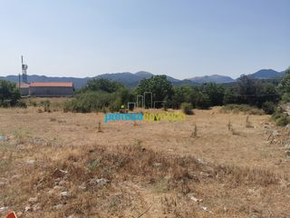 Οικόπεδο 1.697,19 τ.μ. για πώληση, Αρκαδία, Φάλανθος-thumb-4