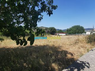 Οικόπεδο 1.697,19 τ.μ. για πώληση, Αρκαδία, Φάλανθος-thumb-15