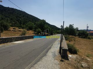 Οικόπεδο 1.697,19 τ.μ. για πώληση, Αρκαδία, Φάλανθος-thumb-9